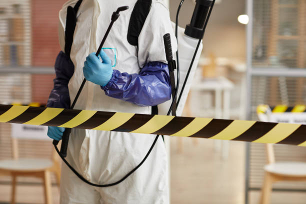 Professional Sewage Cleanup technician working in Basking Ridge, NJ